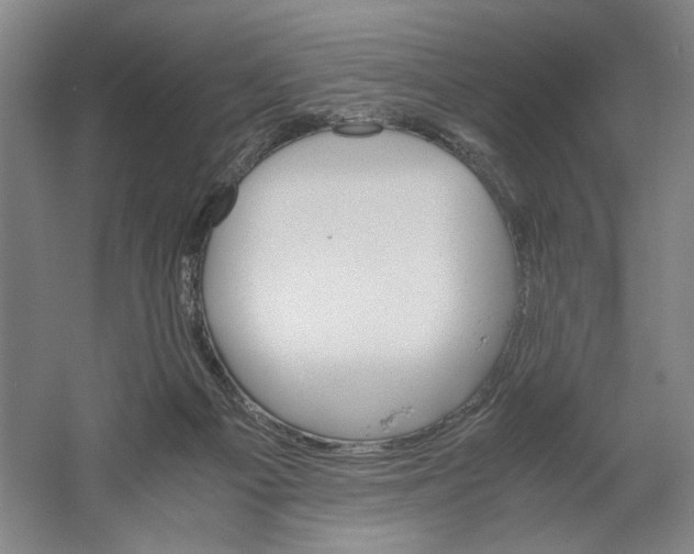 X0000061720121200512161605