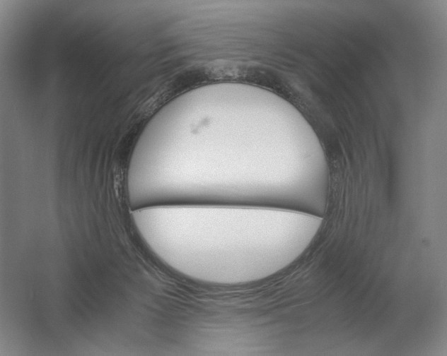 X0000061720125200512161605