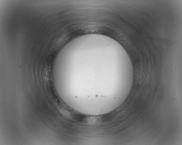 X0000061720126200512161605