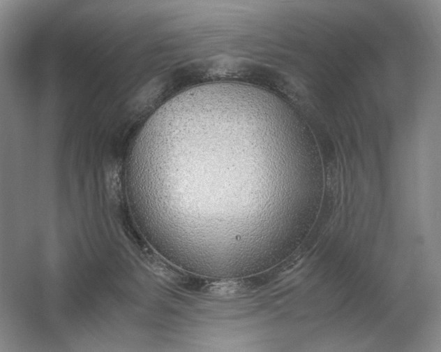 X0000061720127200512161605