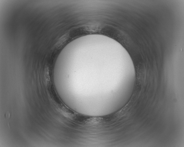 X0000061720128200512161605