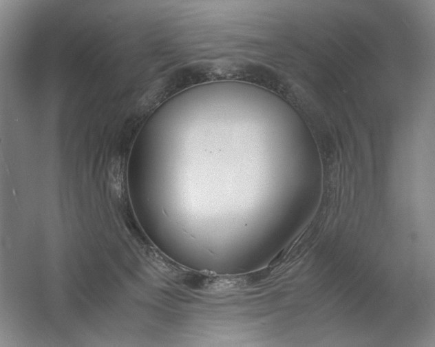 X0000061720129200512161605