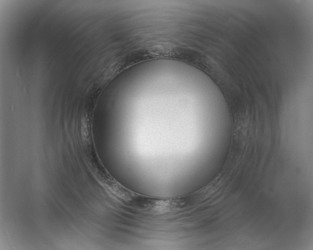 X0000061720130200512161605