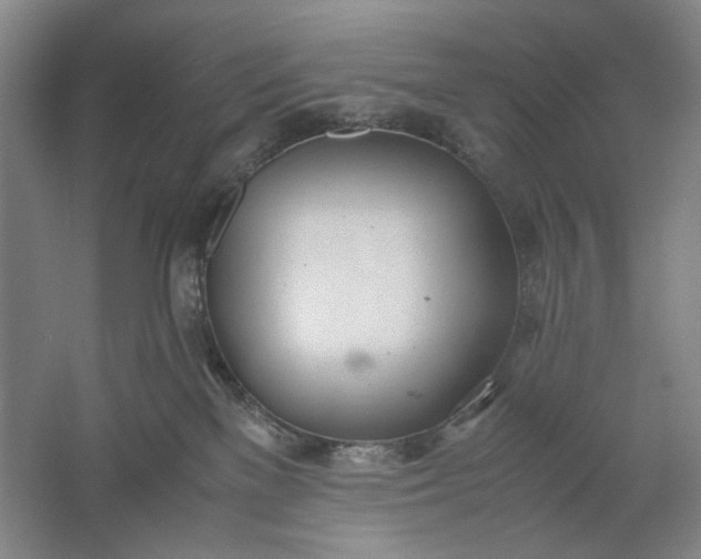 X0000061720137200512161605