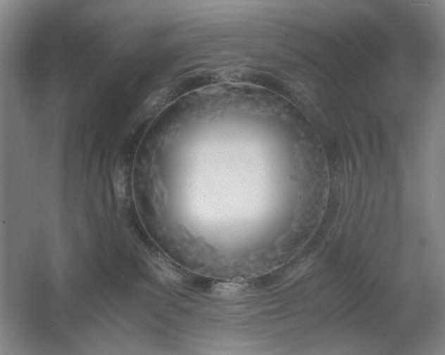 X0000061720139200512161605