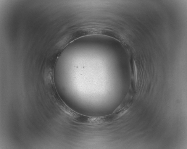 X0000061720141200512161605