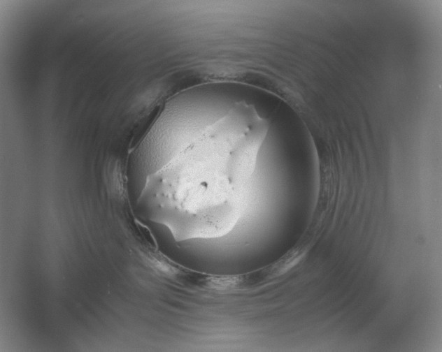 X0000061720143200512161605