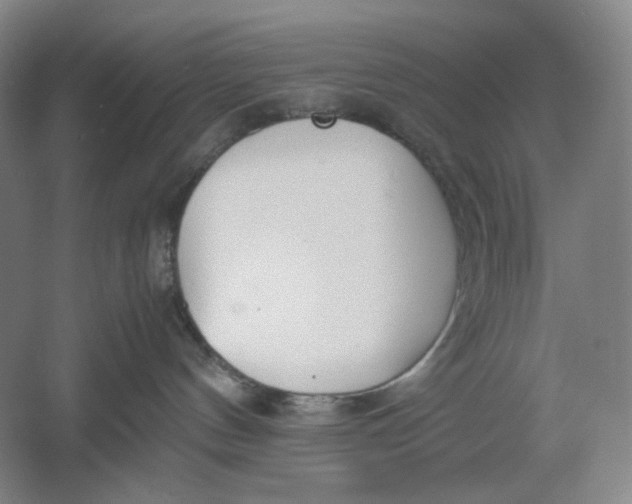 X0000061720144200512161605