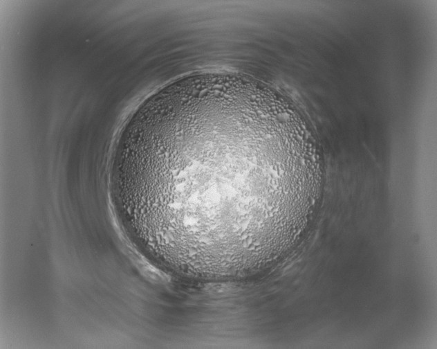 X0000061720145200512161604