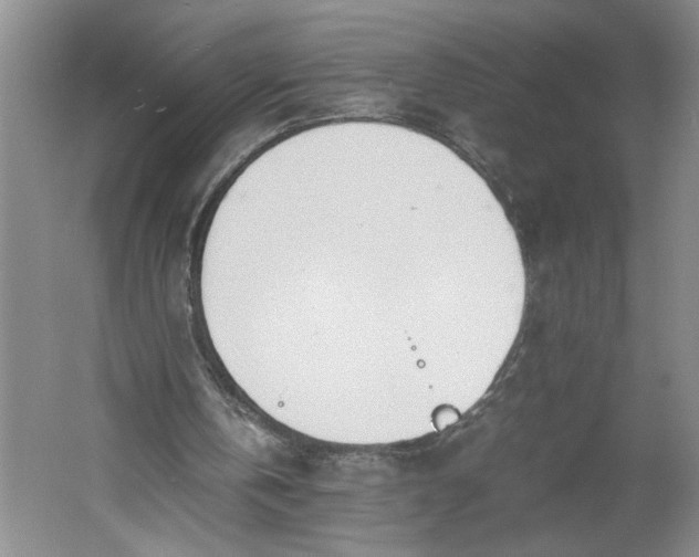 X0000061720146200512161604