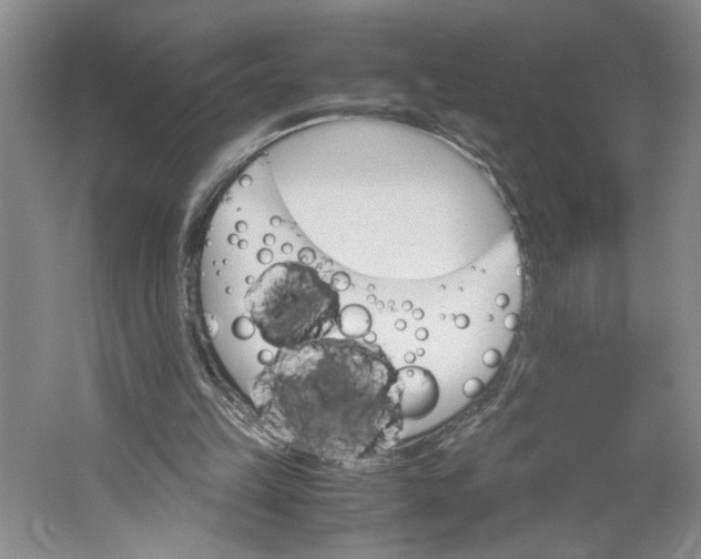 X0000061720149200512161604