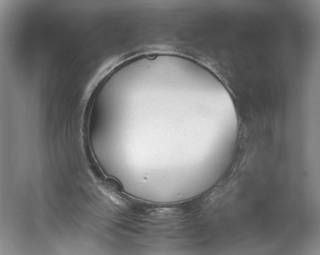 X0000061720151200512161604