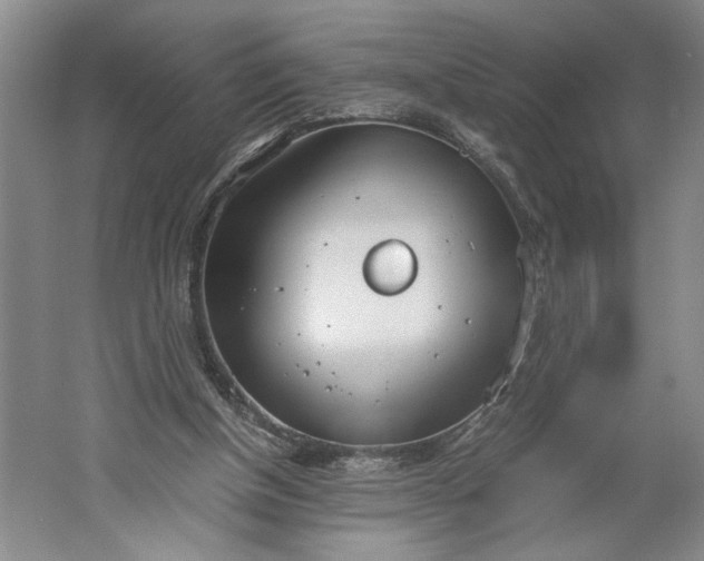 X0000061720154200512161604