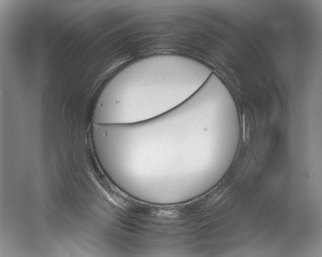 X0000061720157200512161604