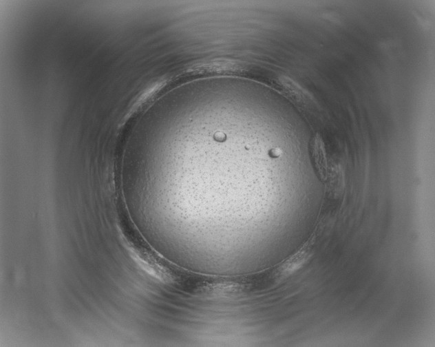 X0000061720158200512161604