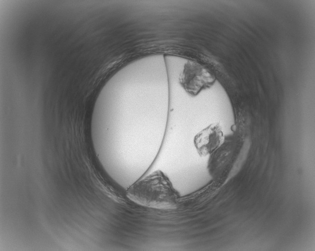 X0000061720161200512161605