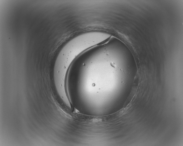 X0000061720162200512161605