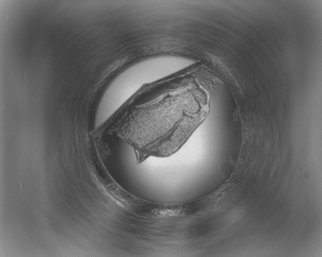 X0000061720163200512161605