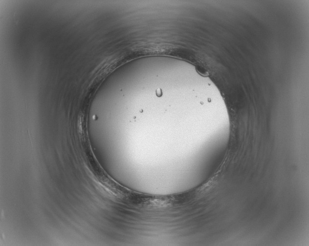 X0000061720166200512161605