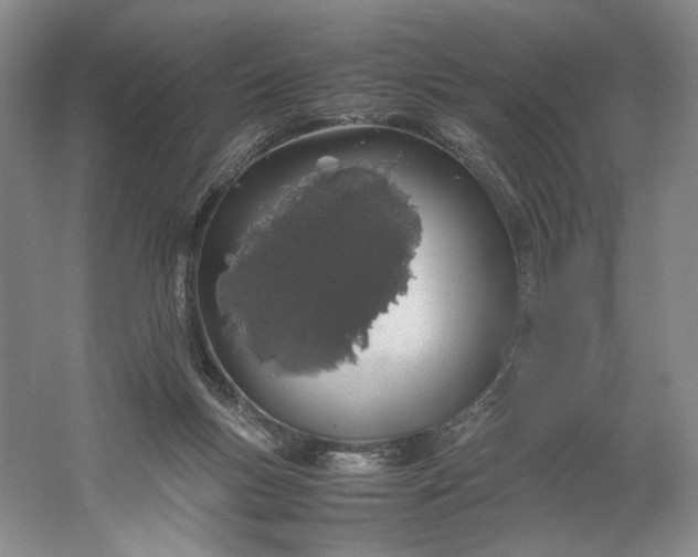 X0000061720167200512161605