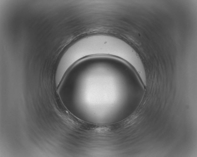 X0000061720168200512161605