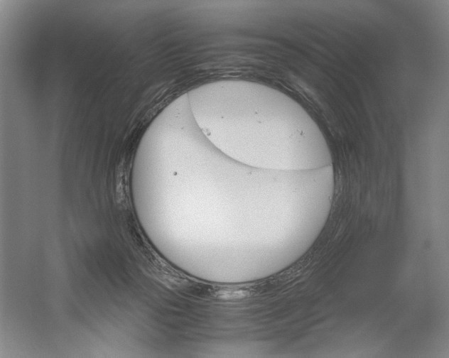 X0000061720169200512161605