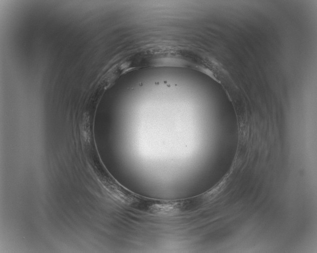 X0000061720170200512161605