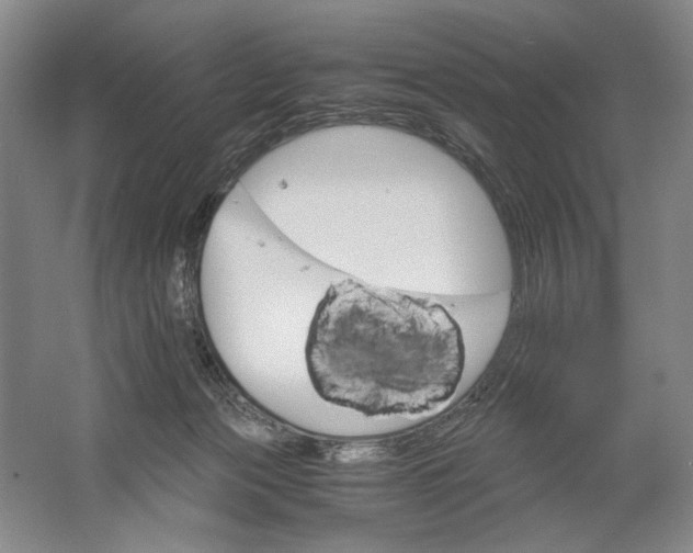 X0000061720173200512161605