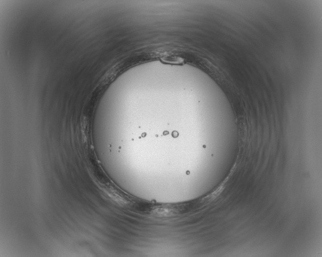 X0000061720174200512161605