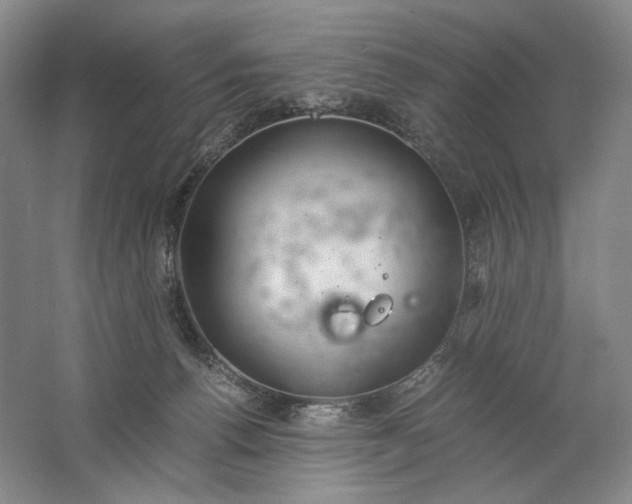 X0000061720176200512161605