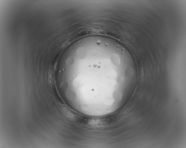 X0000061720177200512161605