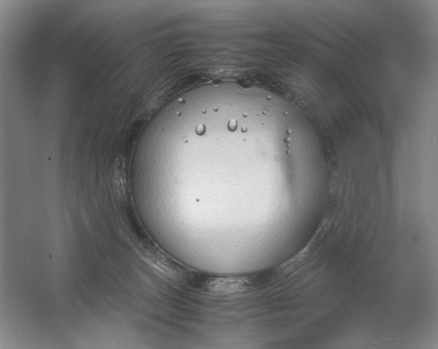 X0000061720179200512161605