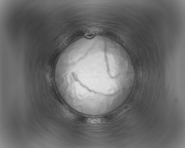 X0000061720181200512161605