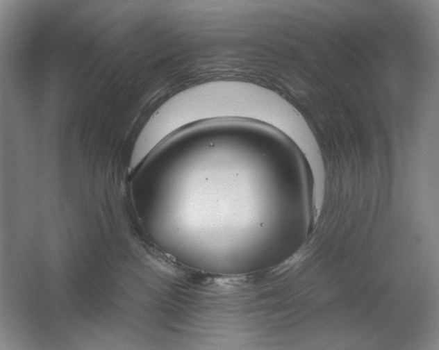 X0000061720188200512161605