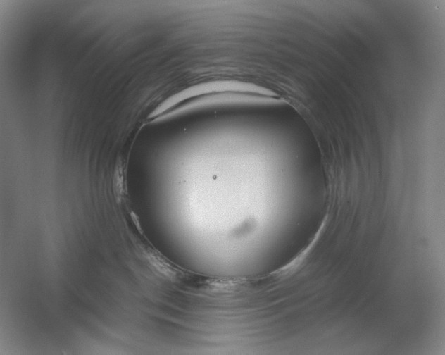 X0000061720190200512161605