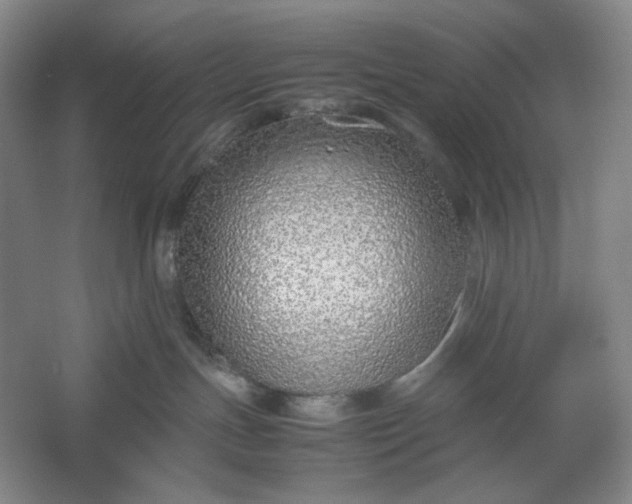 X0000061720191200512161605