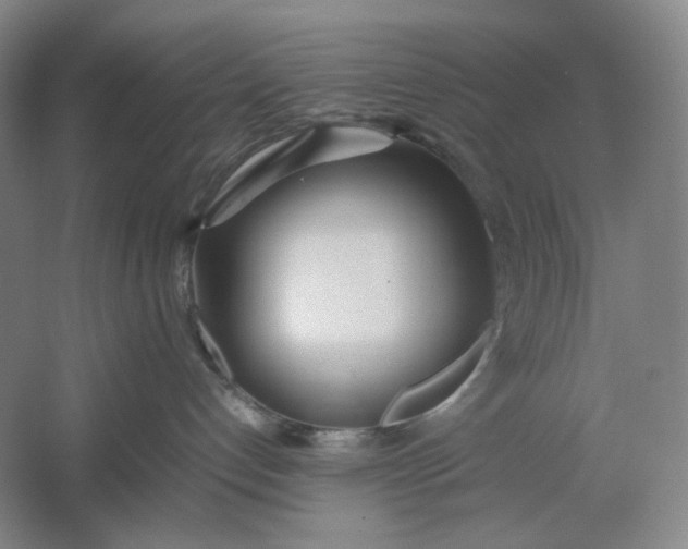 X0000061720192200512161605