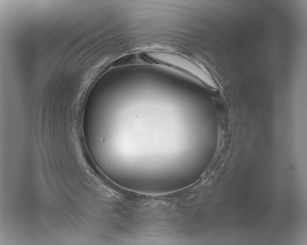 X0000061720193200512161604