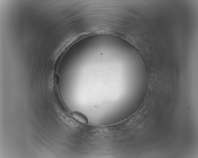 X0000061720194200512161604