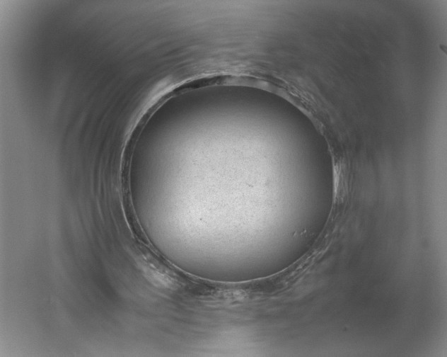 X0000061720195200512161604