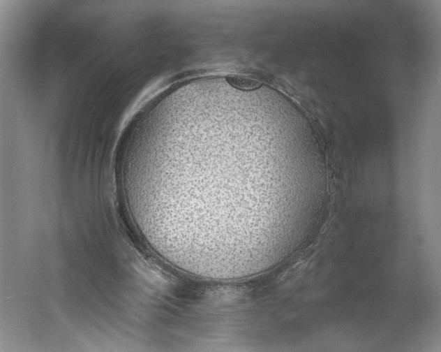 X0000061720198200512161604