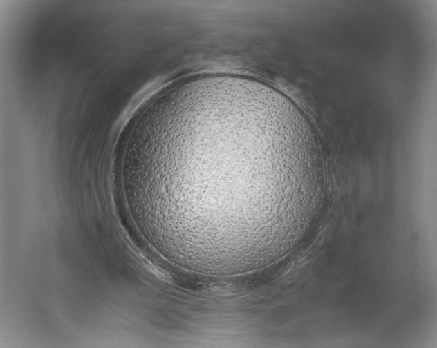 X0000061720199200512161604