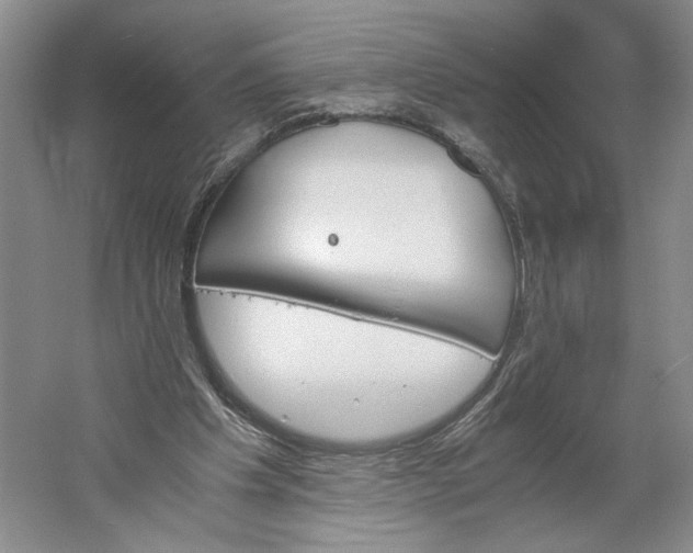 X0000061720201200512161604