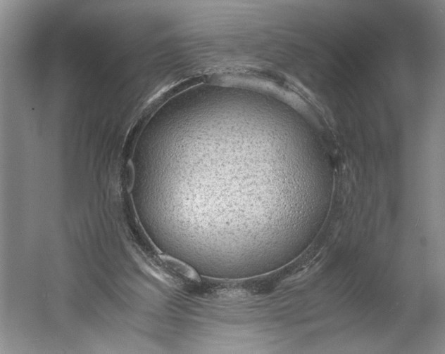 X0000061720203200512161604