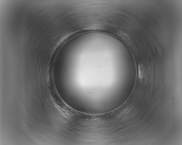 X0000061720204200512161604