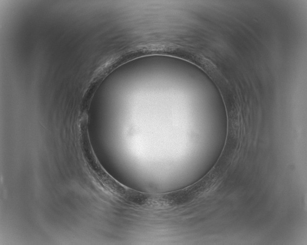 X0000061720207200512161604