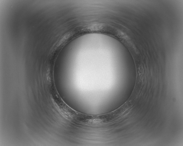 X0000061720212200512161604