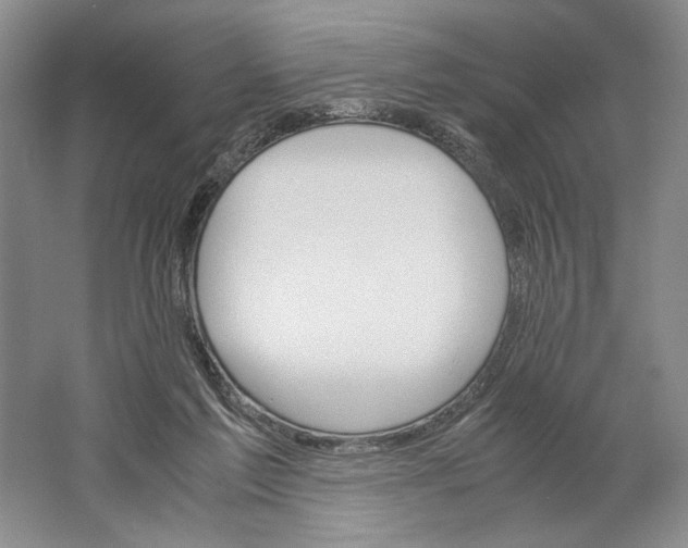 X0000061720213200512161604