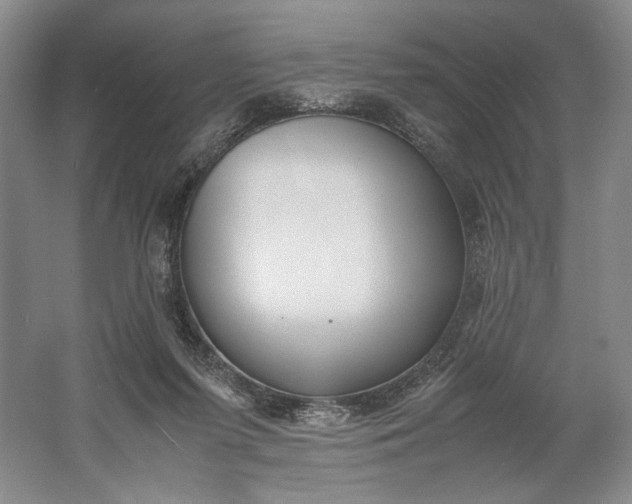 X0000061720215200512161604