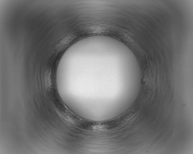 X0000061720216200512161604